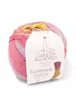 Summer sock - 101 - Summer sock - 0806812043231 - 1