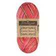 Catona Chroma - 16 sunrise - Catona puuvillalangat - 8717738235636 - 1