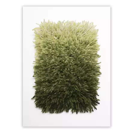 Tanka miniryijy - Sammal - Miniryijyt - 97010989 - 2